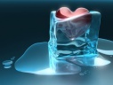 buz kalp