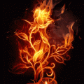 burning-rose-gif-4