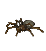 örümcek